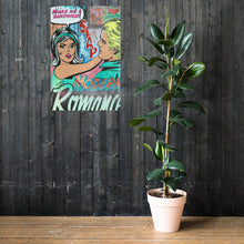 Load image into Gallery viewer, modern romance (gloss print)