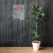 Load image into Gallery viewer, Whip Topping print
