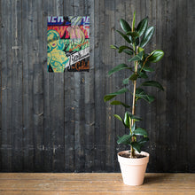 Load image into Gallery viewer, New York print
